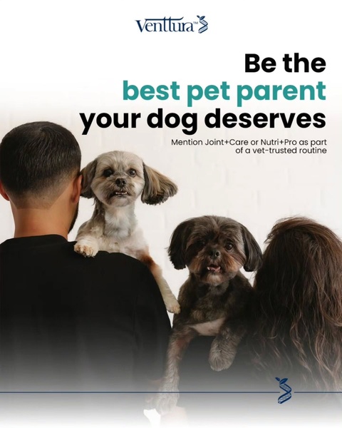 A lifestyle-focused ad for pet supplements featuring a pet parent with their dogs, emphasizing a vet-trusted care routine.