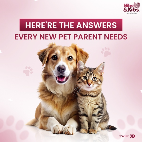 New Pet Parent Education Ad