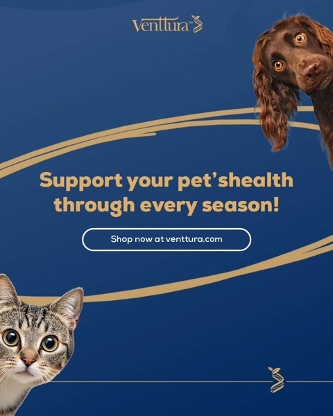 A high-conversion 4:5 social ad featuring a dog and cat with a clean, brand-focused layout promoting year-round pet wellness.