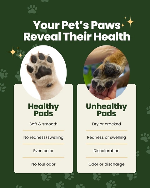 An educational side-by-side comparison chart illustrating healthy versus unhealthy pet paw conditions to guide customer purchasing decisions.