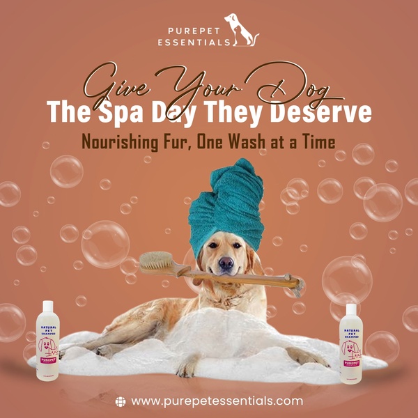 Dog Spa Day Concept