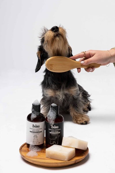 A high-quality studio shot featuring dog shampoo and conditioner bottles, soap bars, and a bamboo brush, with a dog being groomed in the background.