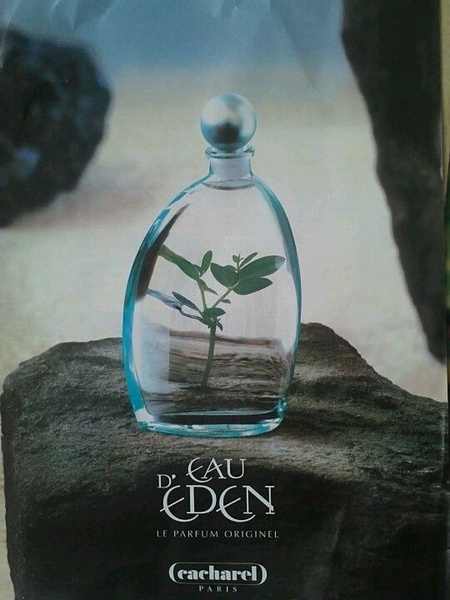 A sophisticated perfume bottle featuring a single green plant inside, set against a dark stone surface to evoke a natural and serene atmosphere.