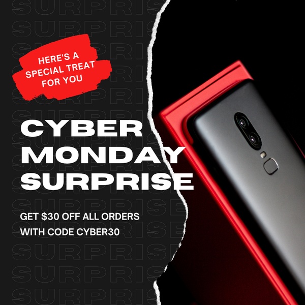 Cyber Monday Surprise Offer