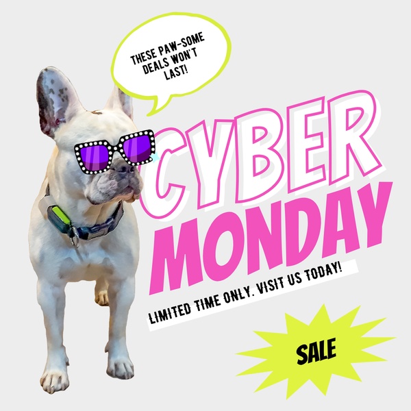 A festive Cyber Monday sale ad featuring a French bulldog wearing sunglasses with a bright speech bubble and seasonal sale graphic elements.