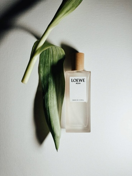 perfume, fragrance, cologne, eau de toilette, scent, brand awareness, minimalist, calm, fresh, neutral, green