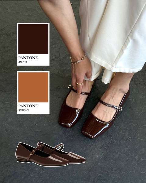 This creative showcases dark brown Mary Jane flats alongside their specific Pantone color codes to emphasize premium product detail and design cohesion.