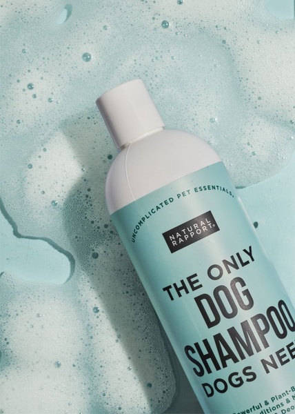 A high-quality, top-down product shot of a dog shampoo bottle surrounded by bubbly water foam on a soft blue background.
