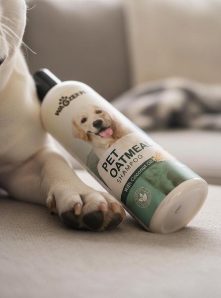A close-up photograph featuring a bottle of Pet Oatmeal Shampoo resting against a dog's paw on a neutral, soft-toned background.