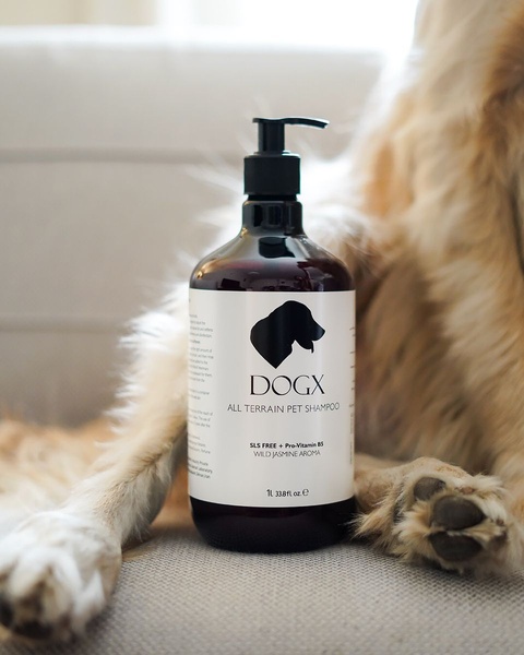 This ad creative features a premium 33.8oz bottle of pet shampoo centered in a soft-focus, domestic setting with a dog, conveying luxury and care.