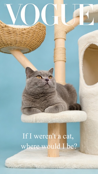 A high-fashion magazine style ad featuring a cat lounging on a wooden and plush cat tree with an aspirational headline.