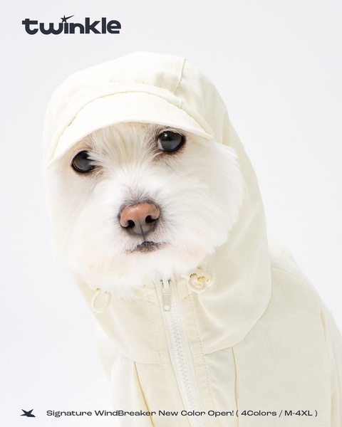 pet hoodie, dog hoodie, pet clothing, dog apparel, pet sweatshirt, dog jacket, pet outerwear, new arrival, product launch, minimalist, playful, fresh, neutral