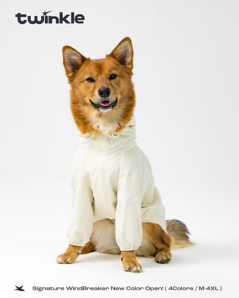 dog clothes, pet apparel, dog hoodie, pet clothing, dog sweater, pet outfits, dog jacket, new arrival, product launch, minimalist, playful, fresh, neutral