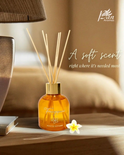 reed diffuser, home fragrance, scented diffuser, room diffuser, fragrance sticks, brand awareness, lifestyle, warm, luxurious, orange, neutral