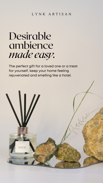 reed diffuser, home fragrance, room scent, diffuser, aromatherapy diffuser, scent diffuser, fragrance sticks, brand awareness, minimalist, calm, luxurious, neutral, brown