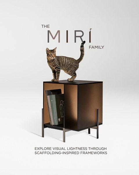 A minimalist studio shot of a designer side table featuring a cat perched on top, emphasizing visual lightness and structured form.
