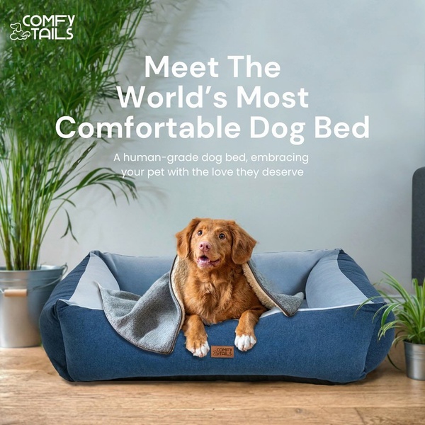 A high-quality image of a dog relaxing in a luxurious bed, highlighting the 'human-grade' quality and comfort level.