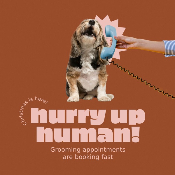 A clever 1:1 square ad featuring a dog on a telephone with bold text encouraging users to book grooming appointments before Christmas.