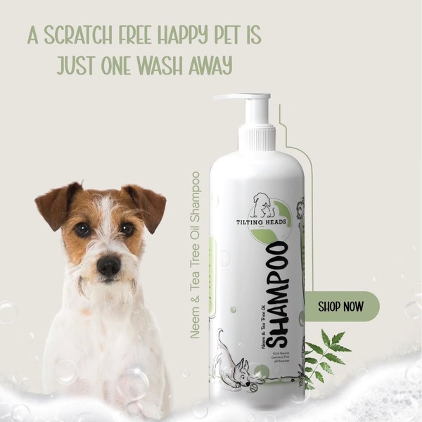 This static 1:1 ad creative uses a benefit-driven headline combined with a clear product shot of Neem & Tea Tree Oil Shampoo to address pet skin issues.