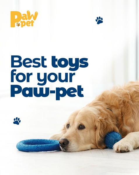 A clean, minimalist 4:5 ad creative featuring a golden retriever lying comfortably with a blue ring dog toy.