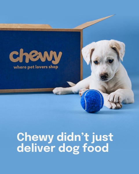 A minimalist studio shot featuring a puppy next to a branded delivery box and a tennis ball, highlighting the emotional value of the service.