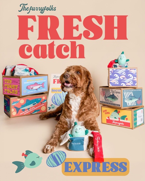 This creative showcases a dog sitting among multiple branded toy boxes with a 'Fresh Catch' theme, effectively using a playful, themed aesthetic to capture pet owner interest.