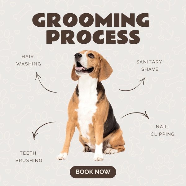 A clear, visual infographic showing four key components of a professional dog grooming service, anchored by a central image of a dog and a call to action.