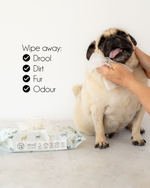 This ad creative shows a hand using a wipe to clean a pug's face, paired with a simple checklist of common pet issues the product solves.