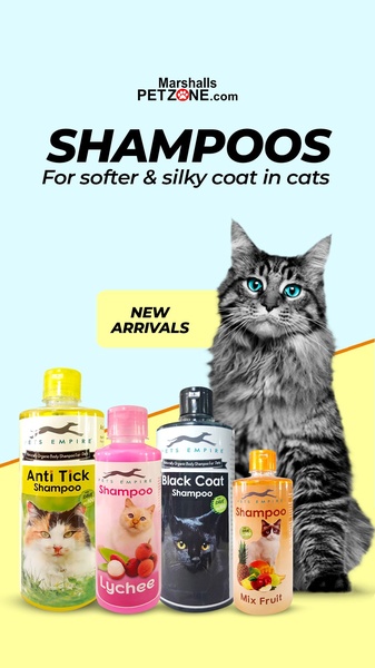 A vertical ad creative featuring a variety of branded cat shampoos alongside a high-quality cat portrait, emphasizing new product arrivals.