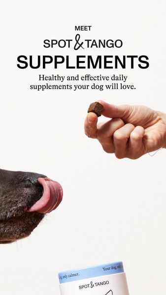 Spot & Tango Supplement Direct Interaction