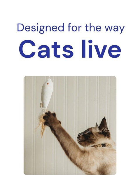 A high-contrast, clean 4:5 vertical ad featuring a cat playing with a simple, fabric-based fish toy to emphasize lifestyle fit.