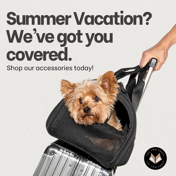 A clean, high-contrast lifestyle photograph featuring a small dog in a portable pet carrier placed on top of a silver suitcase, suggesting easy travel.