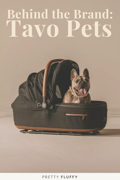 A high-end, minimalist studio photograph featuring a dog comfortably sitting inside a modern, luxury pet stroller.