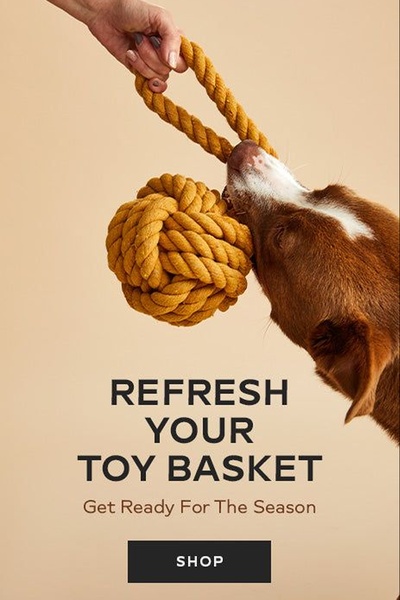 A high-contrast, minimalist ad featuring a hand-held rope toy being tugged by a dog against a warm, neutral background.