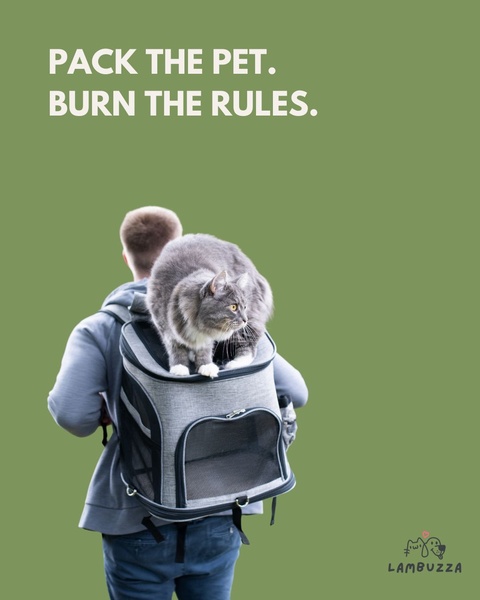 A clean, minimalist 4:5 ad creative showing a person carrying a cat in a backpack, utilizing a bold text-led hook against a solid olive background.