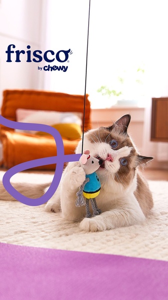 A close-up shot of a cat playing with a plush toy, using a high-energy, pet-focused visual style to drive immediate interest.