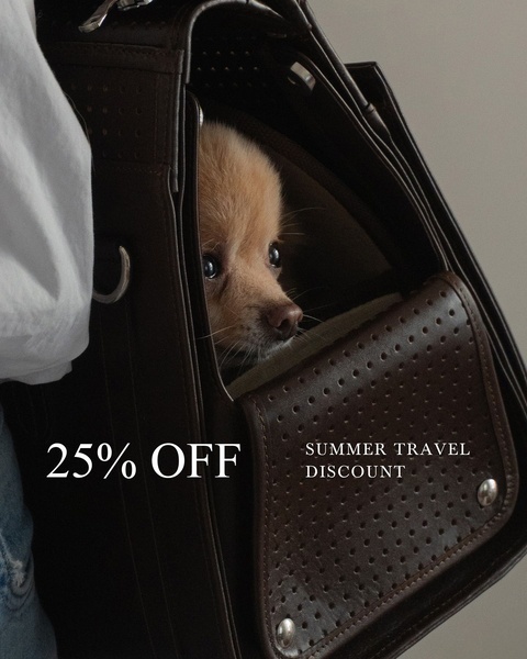 A high-performing 4:5 pet carrier ad creative utilizing a clean, neutral aesthetic to highlight a seasonal 25% off discount.