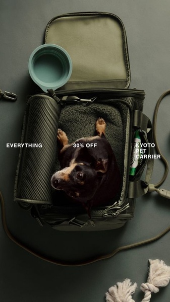 A high-conversion 9:16 vertical ad featuring a pet carrier from a top-down view, highlighting a 30% off discount offer.