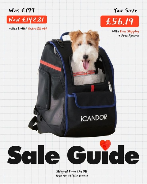 This ad creative uses a clean, grid-based aesthetic to highlight a significant price reduction on a premium pet carrier backpack.