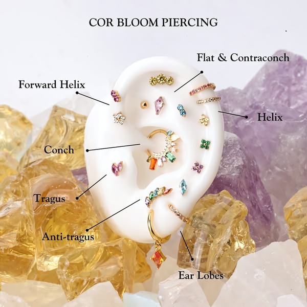 This creative serves as an educational guide, mapping various earring types to their specific placements on an anatomical ear model amidst decorative crystals.
