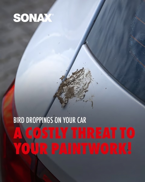 A high-contrast visual showcasing the immediate damage bird droppings cause to car paint, followed by a bold, red text warning.