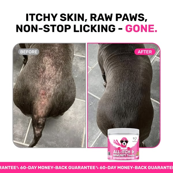 A square split-screen image contrasting a dog's damaged skin condition with a healed, healthy coat after using immunity treats.