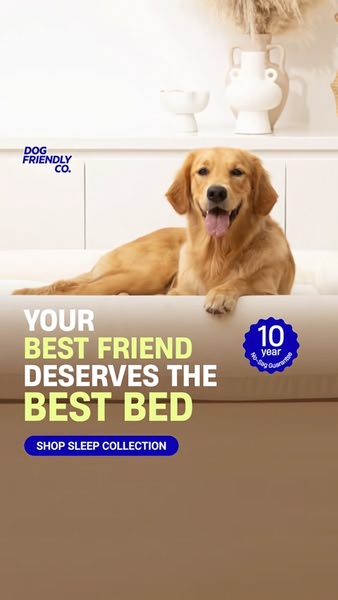 This vertical ad features a high-quality product shot of a golden retriever on a clean white bed, highlighting a 10-year no-sag guarantee to build consumer trust.