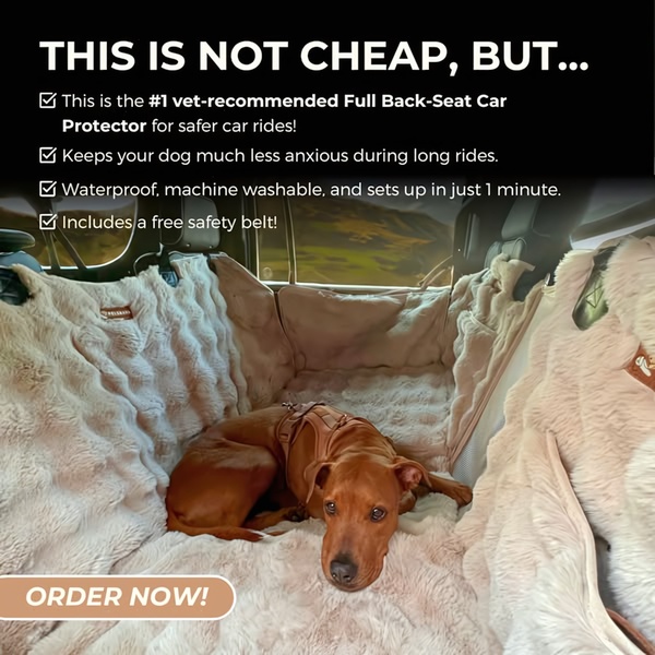 A direct-response static image ad showcasing a dog resting comfortably on a luxury car seat protector with clear bullet-point benefits.