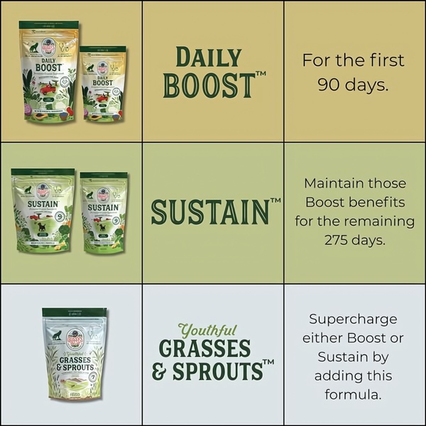 A clear, three-part grid layout showing specific dog supplements and their corresponding duration or usage purpose.