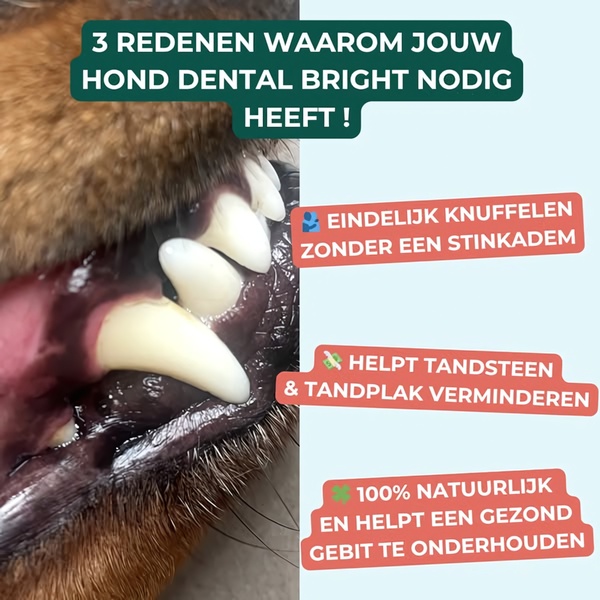 A square-formatted educational ad featuring a close-up of a dog's teeth paired with a three-point benefit listicle.