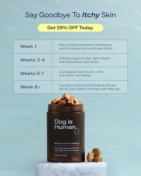 A clean, educational ad creative for dog multivitamins that breaks down product benefits into a clear, four-stage weekly recovery timeline.
