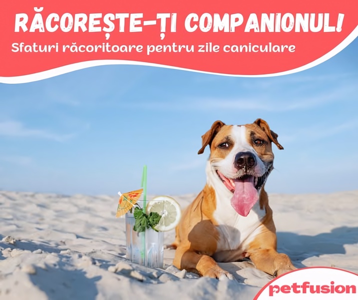 A bright, summer-themed ad featuring a happy dog next to a refreshing drink on a beach, promoting heat relief solutions for pets.