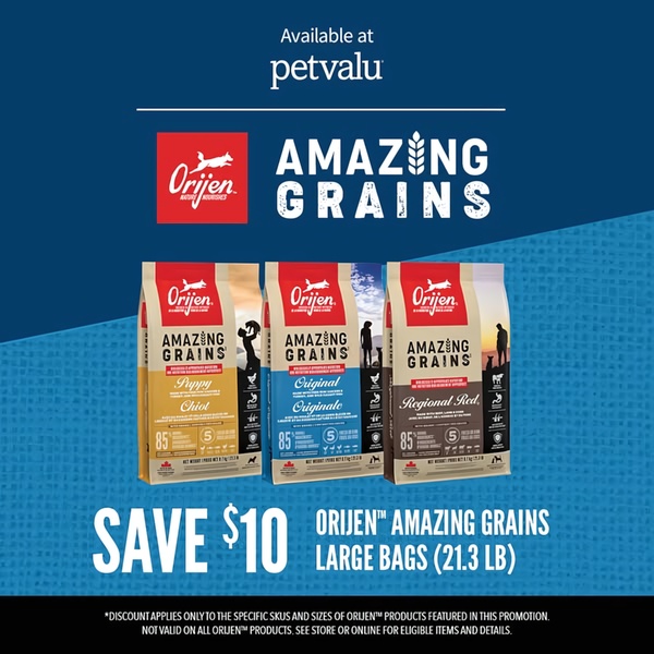 A high-contrast promotional graphic showcasing three different Orijen dog food bags against a bold blue backdrop with a clear $10 savings headline.