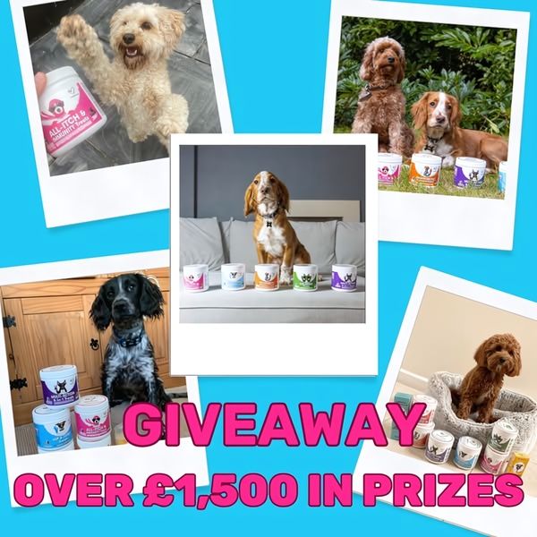 A square-formatted collage featuring multiple photos of different dogs with various immunity treat products, announcing a substantial giveaway prize.